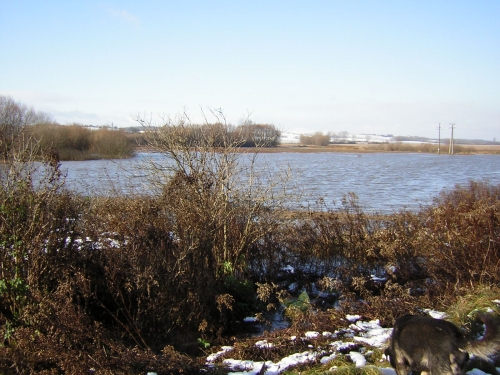 DSCN4354.JPG