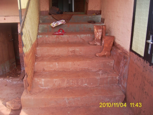 Adom__nyok_k__peken_362.jpg