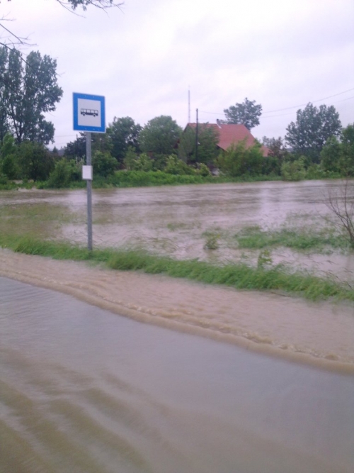 G__bornak3_015_g.jpg