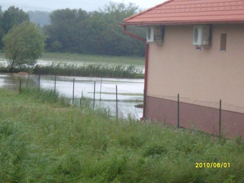 SDC10005_b.JPG