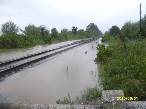 SDC10035_b.JPG